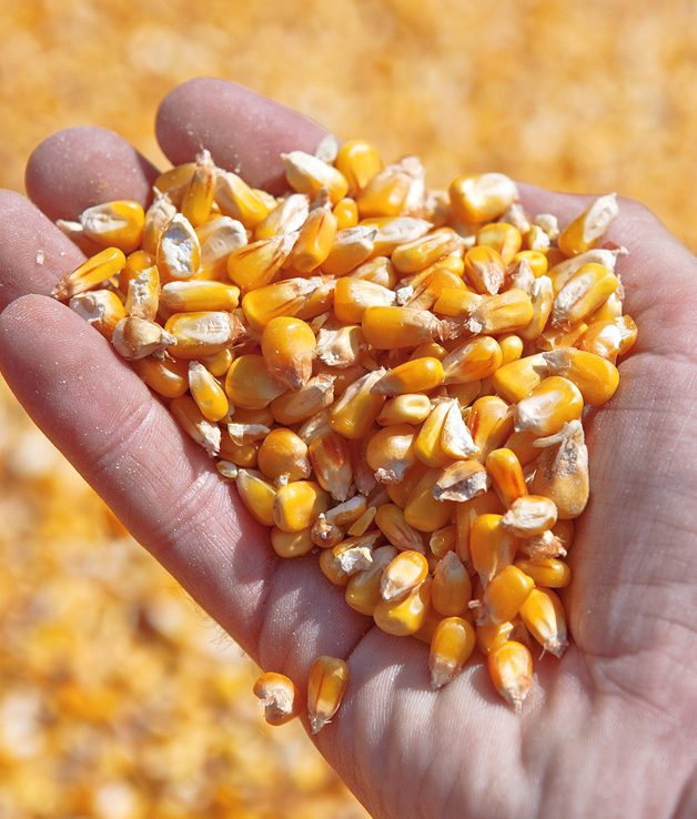 Modern agricultural technology