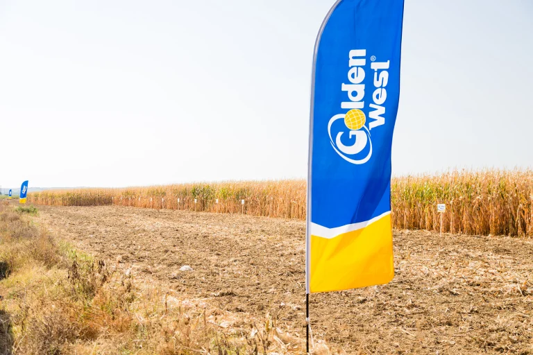 Golden West Seed official Facebook Page